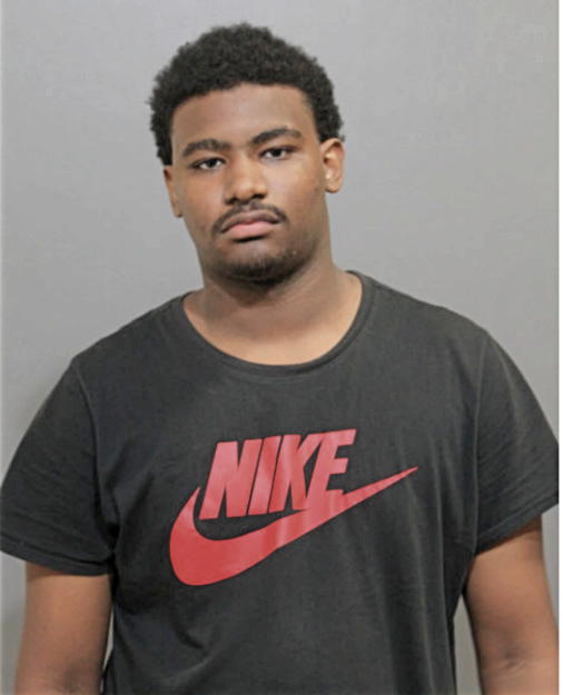 AMARION M NEWELL, Cook County, Illinois