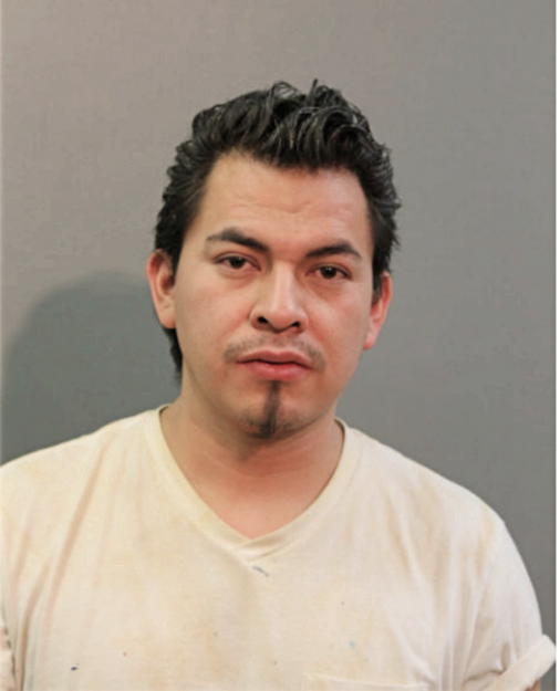 MARTIN PEDRAZA, Cook County, Illinois