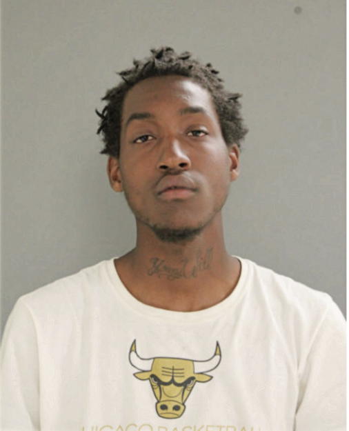 TIMOTHY R STEWART, Cook County, Illinois