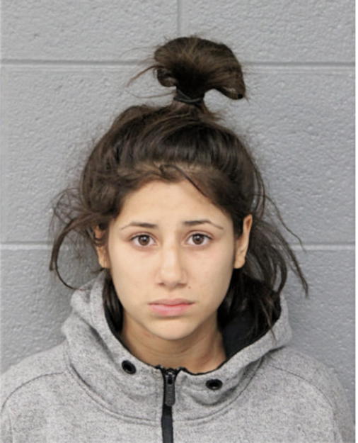 ELIZABETH VASQUEZ, Cook County, Illinois