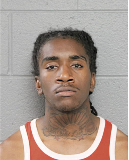 LESEAN D BROWN, Cook County, Illinois