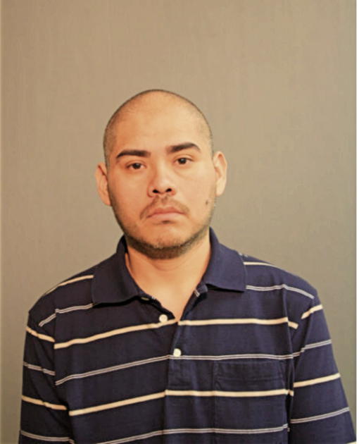 CARLOS JUAN CRUZ, Cook County, Illinois