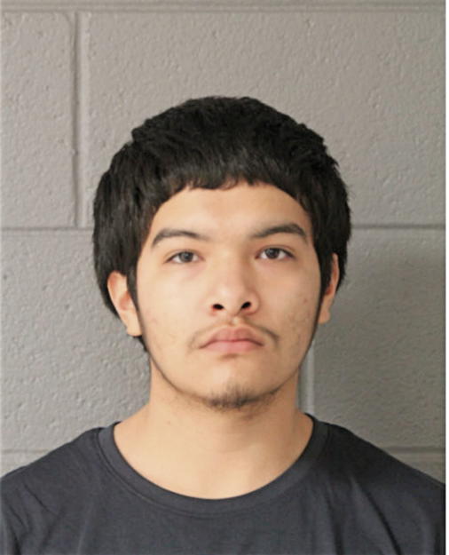 ERNESTO DELGADO, Cook County, Illinois