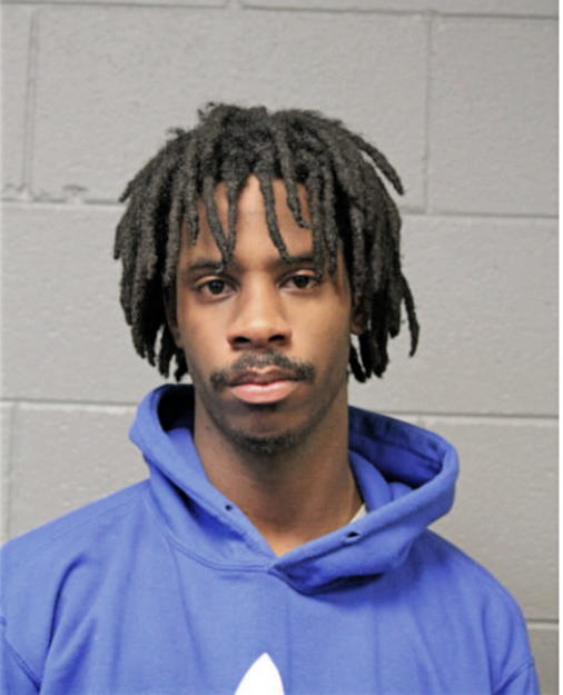 DEMARLO B DULANEY, Cook County, Illinois