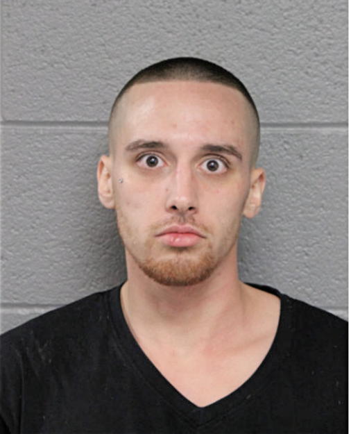 ANTHONY P FRANCESCHI, Cook County, Illinois