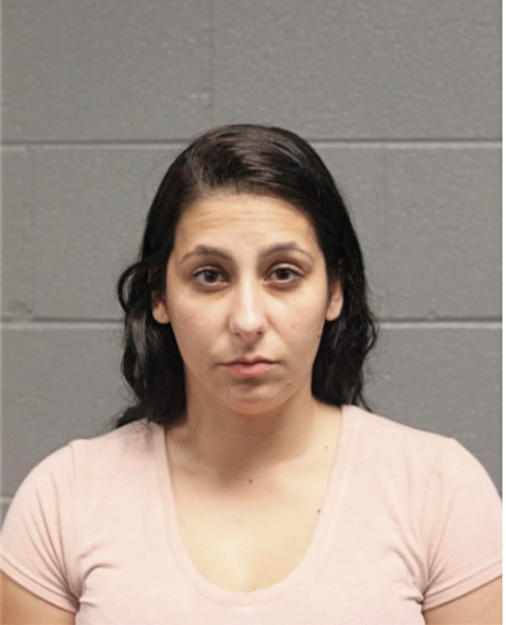 LAUREN M GABER, Cook County, Illinois