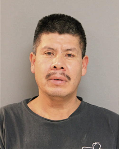 SALVADOR GALVEZ, Cook County, Illinois