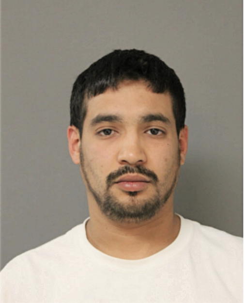 MARIO E HERNANDEZ, Cook County, Illinois
