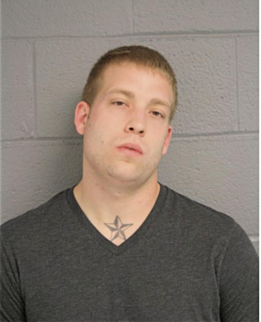RYAN A ILLG, Cook County, Illinois