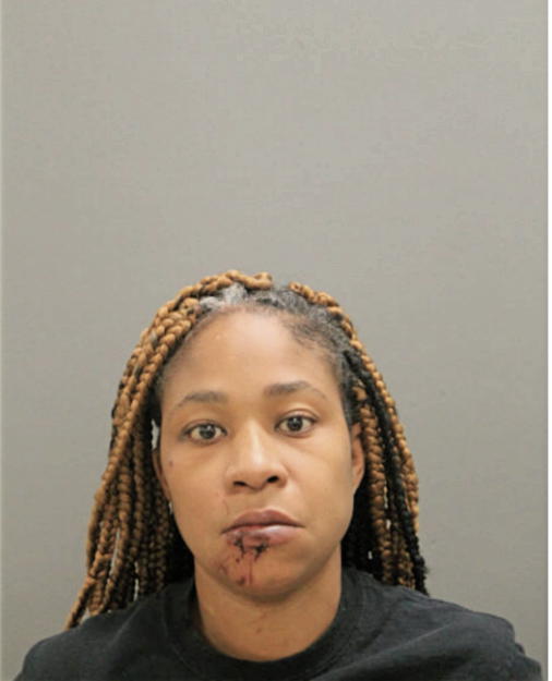 MICHELLE L JONES, Cook County, Illinois