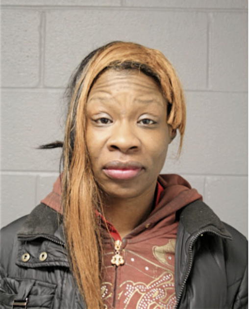STEPHANIE E JONES, Cook County, Illinois