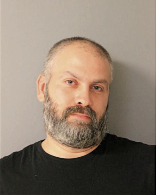 THEODORE T LEONTEOS, Cook County, Illinois