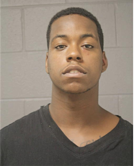 CAMERON L MITCHELL, Cook County, Illinois