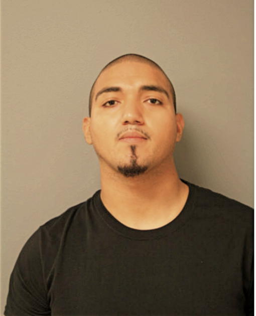 MIGUEL A NAVA, Cook County, Illinois