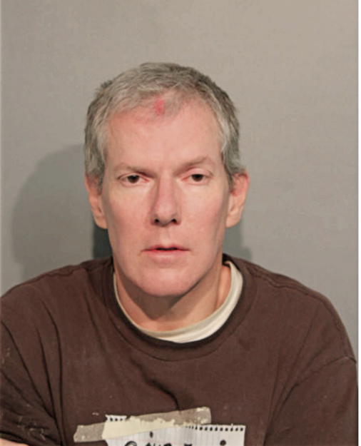 DAVID W PAYNE, Cook County, Illinois