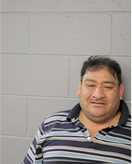 HUMBERTO H REYES, Cook County, Illinois