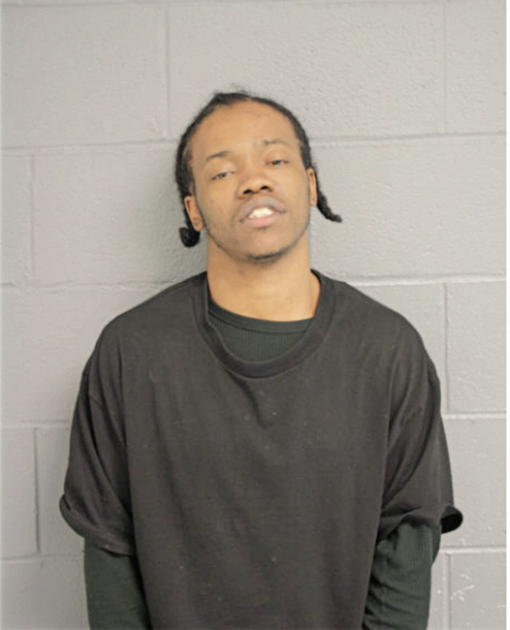 MICHAEL P ROBINSON, Cook County, Illinois