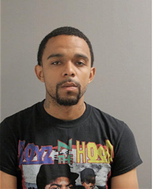 RYAN M STEPHENS, Cook County, Illinois