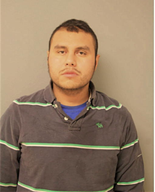 NOE TELLEZ, Cook County, Illinois