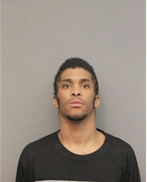NEHEMIAH J TURNER, Cook County, Illinois