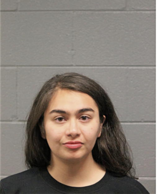 ASHLEY VARGAS, Cook County, Illinois