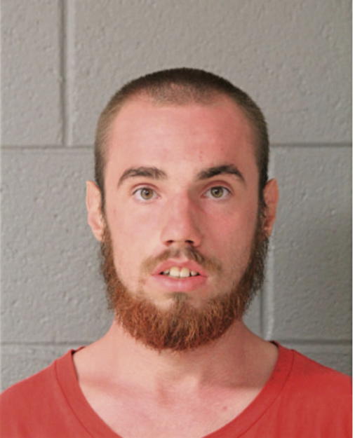 MICHAEL S VENGRIN, Cook County, Illinois