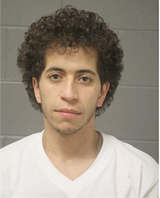 MOAYAD D ABUBAKER, Cook County, Illinois
