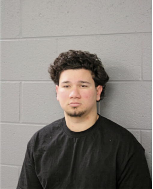 LEDWIN FANA CID, Cook County, Illinois