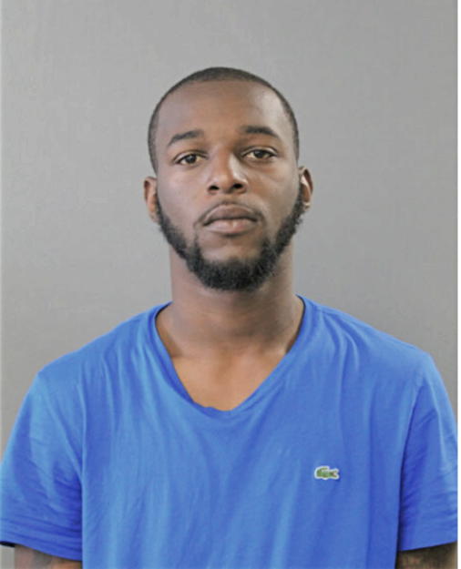 BRYAN M DANIEL, Cook County, Illinois