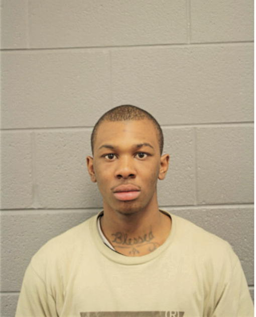 ANTON D DAVISON, Cook County, Illinois