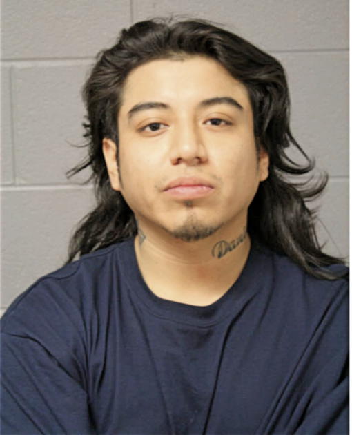BRIAN S ENRIQUEZ, Cook County, Illinois