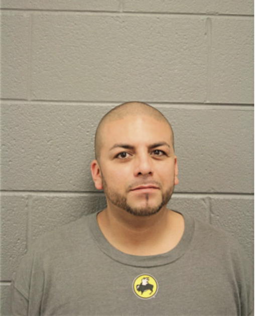 JOSE L GARCIA, Cook County, Illinois