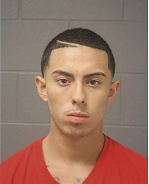 VICTOR GARCIA, Cook County, Illinois