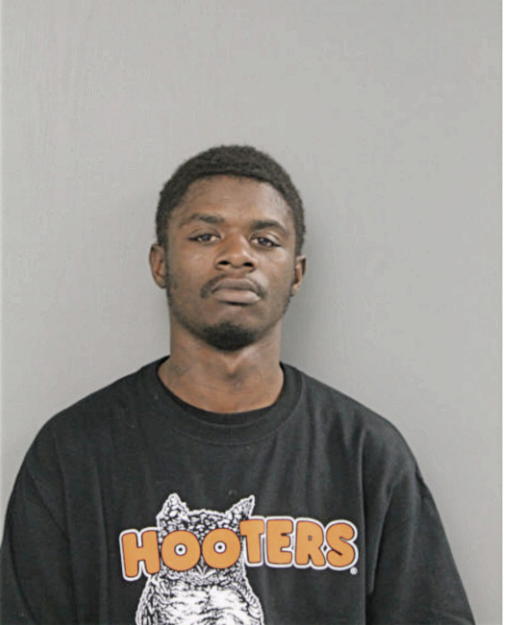 TERRELL M HARRIS, Cook County, Illinois