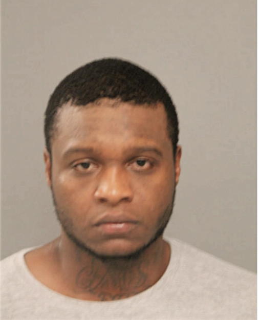 DANIEL M JOHNSON, Cook County, Illinois