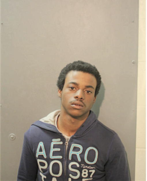 COURTNEY M LEWIS, Cook County, Illinois
