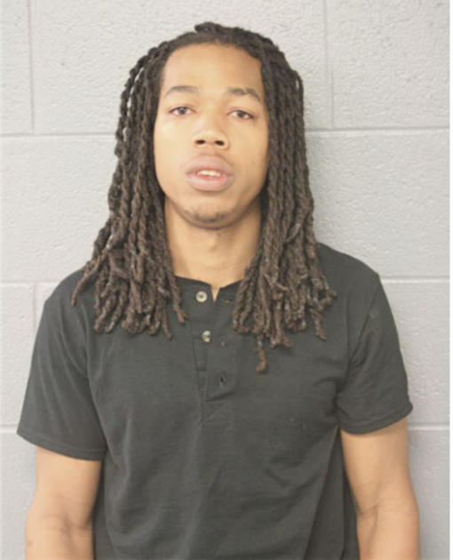 GLENN A LEWIS, Cook County, Illinois