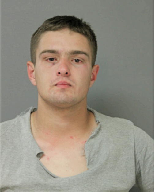 ROMAN MELNYKOVYCH, Cook County, Illinois