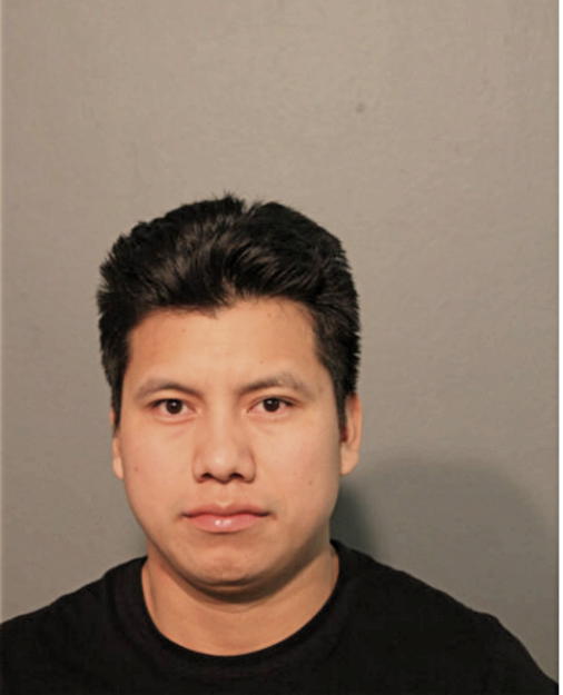 SELVIN E MIRANDA-MIRANDA, Cook County, Illinois