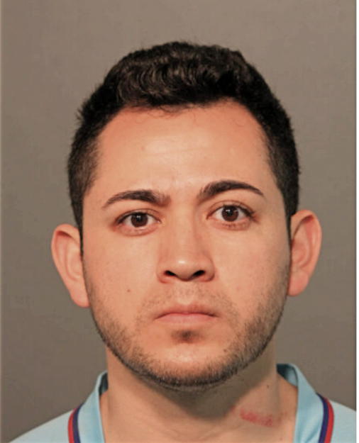 ALBERTO R NAVA VARGAS, Cook County, Illinois