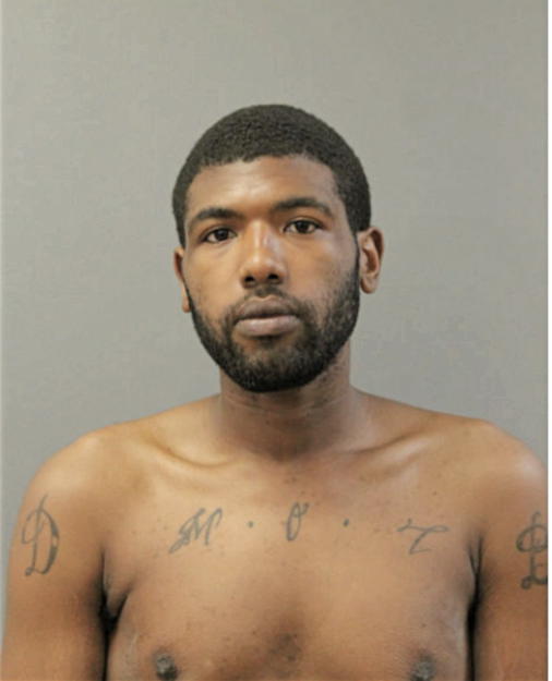 DANIEL J NEWTON, Cook County, Illinois