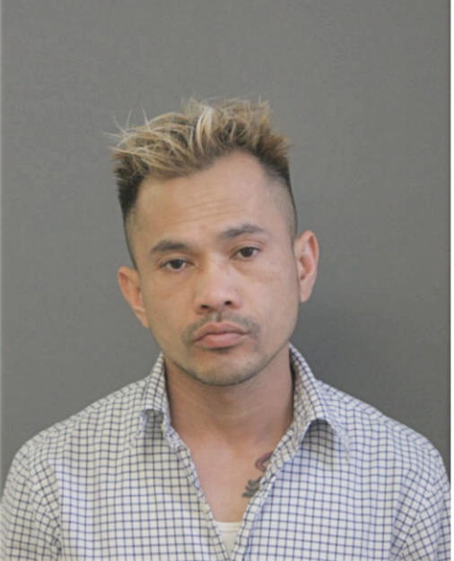 LE T NGUYEN, Cook County, Illinois