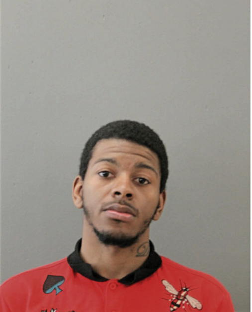 MICHAEL K RAGGS, Cook County, Illinois