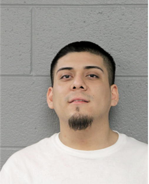 LUIS J REYES, Cook County, Illinois