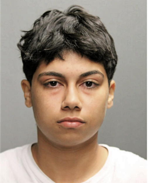 ANGELISA RUIZ, Cook County, Illinois