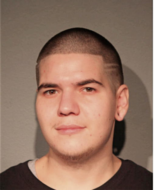 NICOLAE C SERBAN, Cook County, Illinois