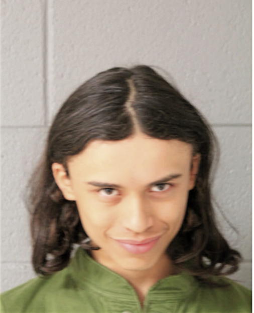 JESSI SERNA, Cook County, Illinois