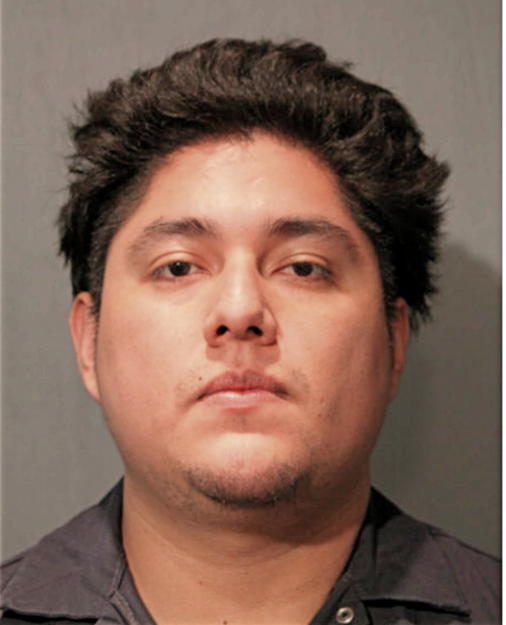 ULESIS G SOTO, Cook County, Illinois