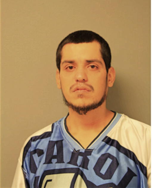 MARCO P TAMAYO, Cook County, Illinois