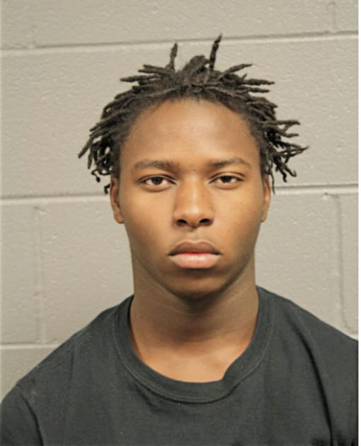 STEVIE L THOMAS, Cook County, Illinois